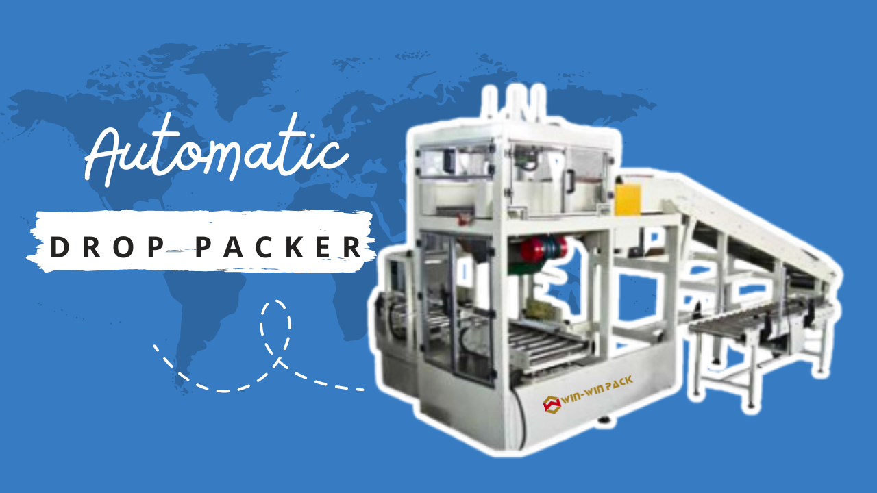 ​Automatic Drop Packer for Pouches: Enhancing Efficiency in Packaging