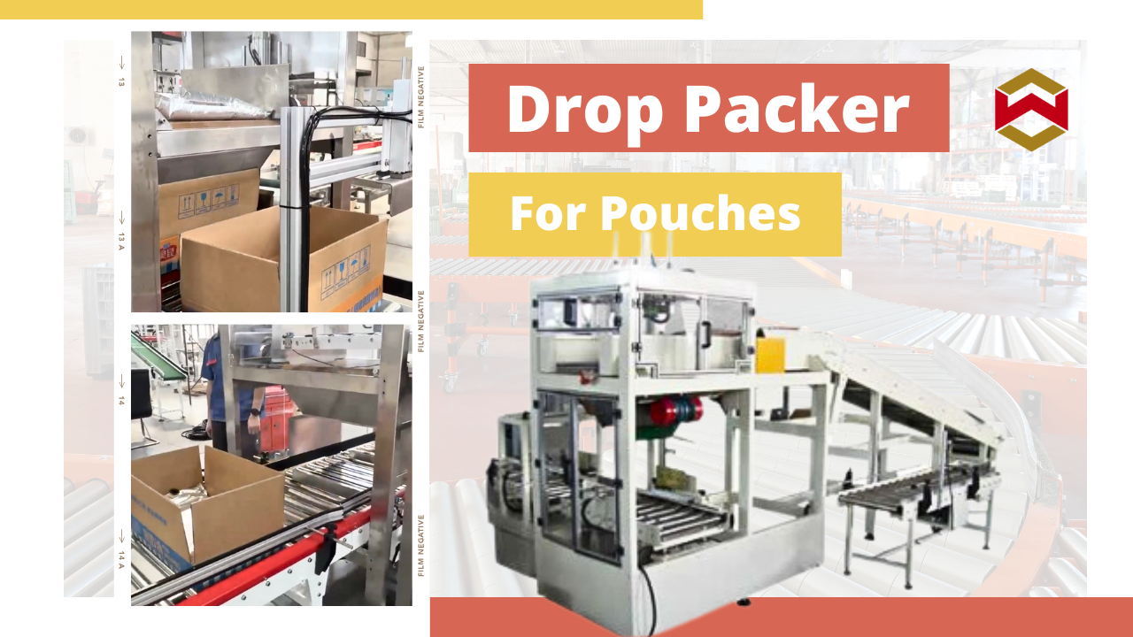 Automatic Drop Packer for Pouches/Food Bag Products/Case Packer/Packaging Machinery