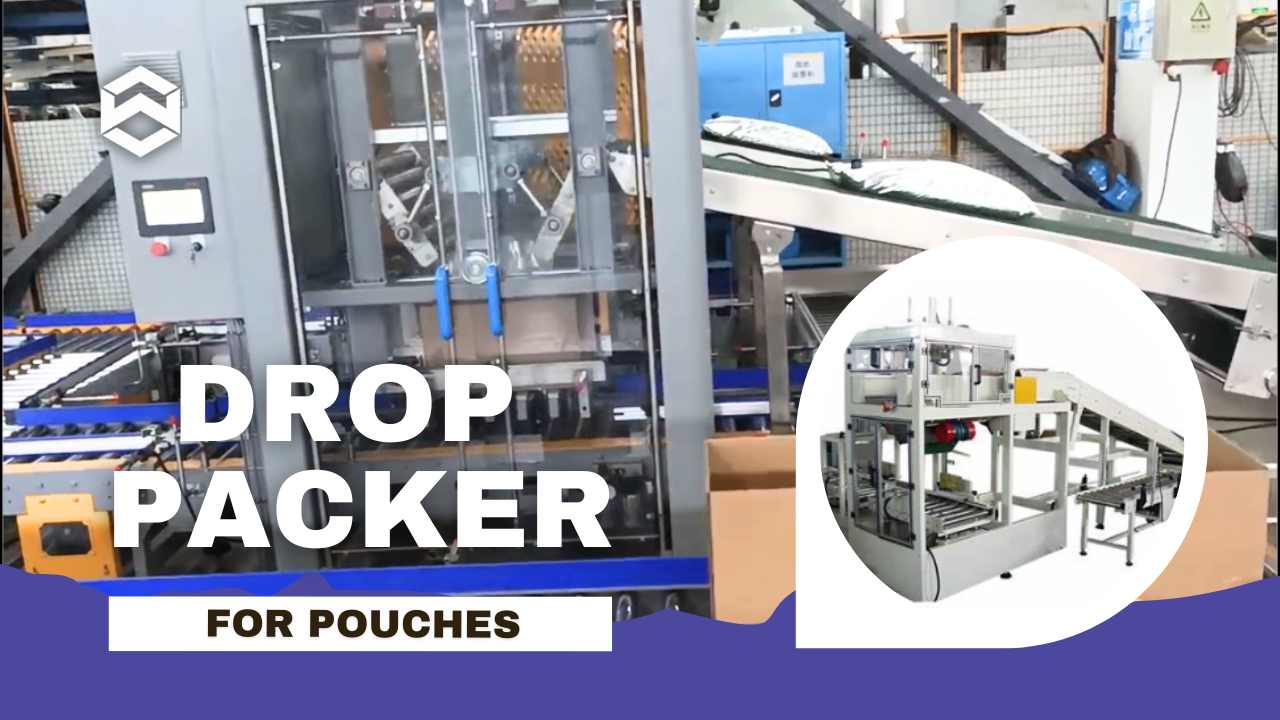  High-efficiency Automatic Drop Packer for Pouches/Bag Packing Machine/Case Packer