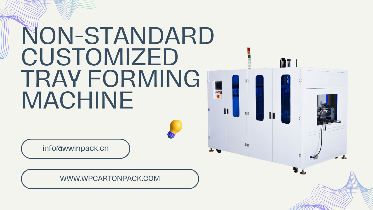 Non-Standard Customized Tray Forming Machine