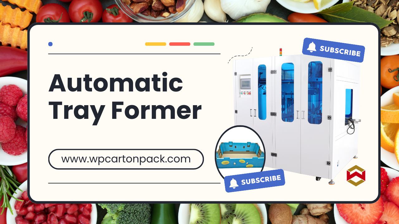 Tray Forming Machine for Fruit Packaging/Carton Former/Automatic Tray Former