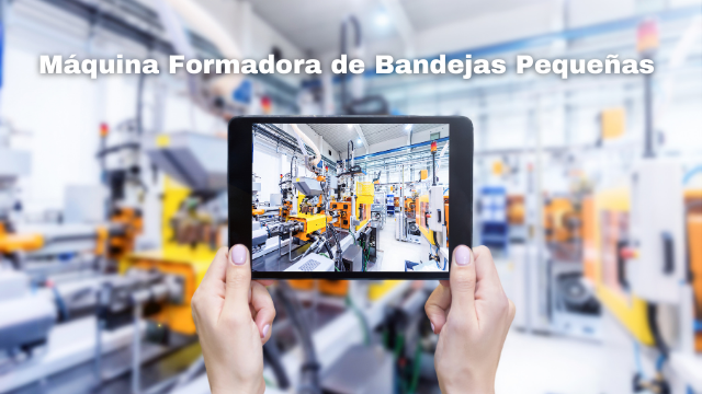 Máquina Formadora de Bandejas Pequeñas -- Utilización para Mejorar la Eficiencia del Comercio Electrónico