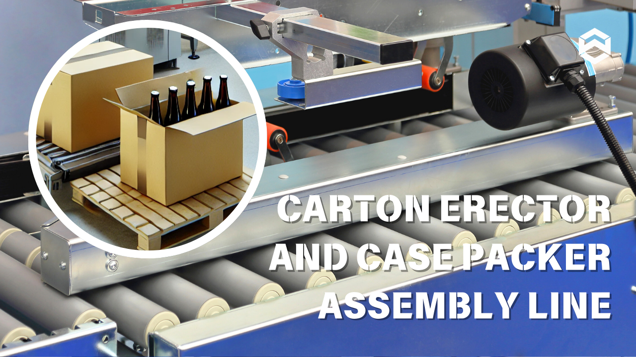 Automated Carton Erector and Case Packer Assembly Line for Glass Bottle Products