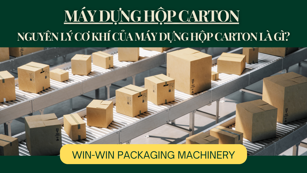 Máy Dựng Hộp Carton - Nguyên lý cơ khí của máy dựng hộp carton là gì?