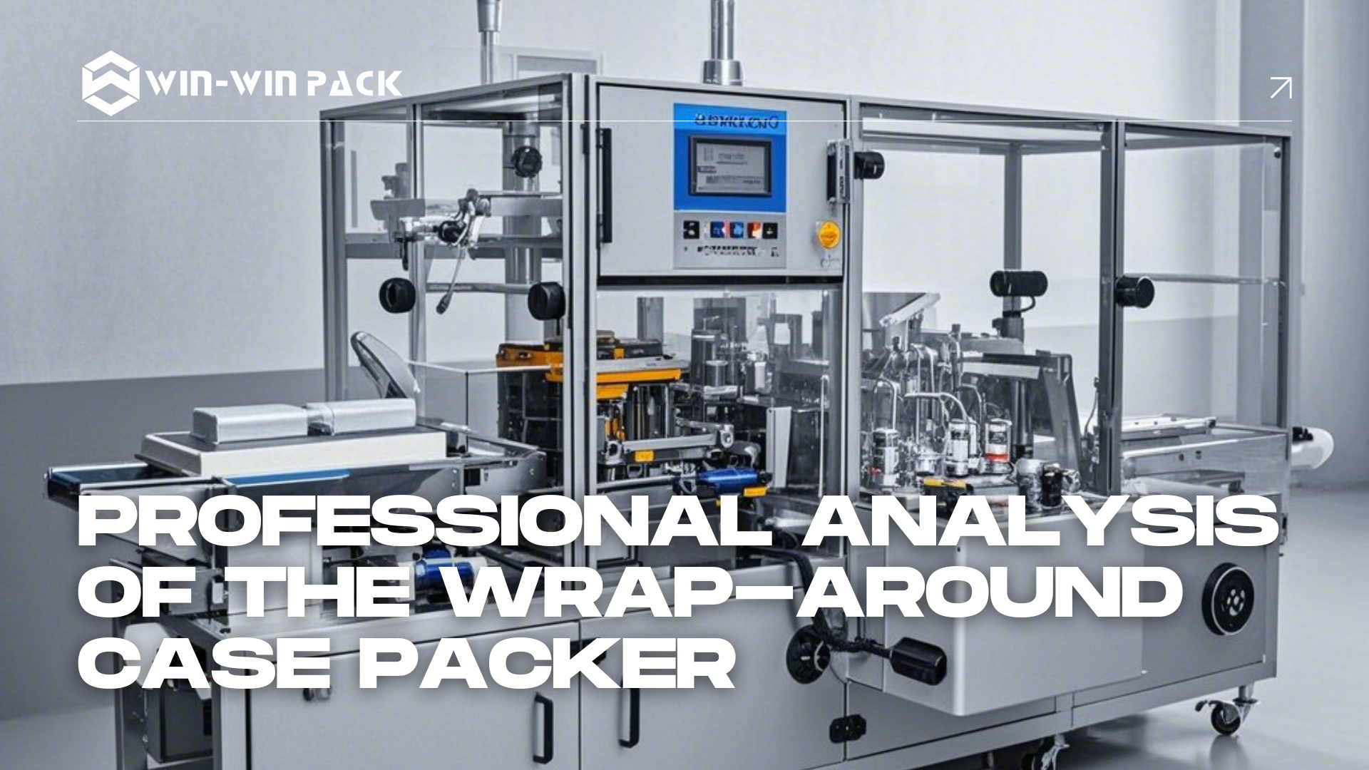 Professional Analysis of the Wrap-Around Case Packer